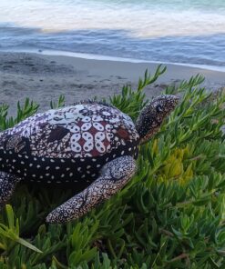 Alternative view of Tortue marine - Batik Sogan